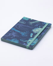 Sea Monsters: Octopus & Squid A5 Softcover