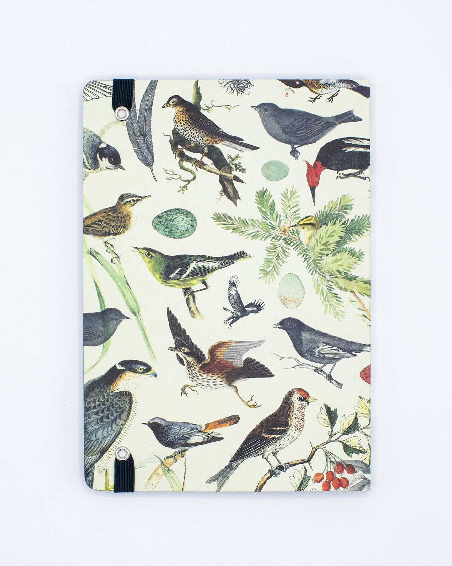 Vögel & Federn A5 Softcover