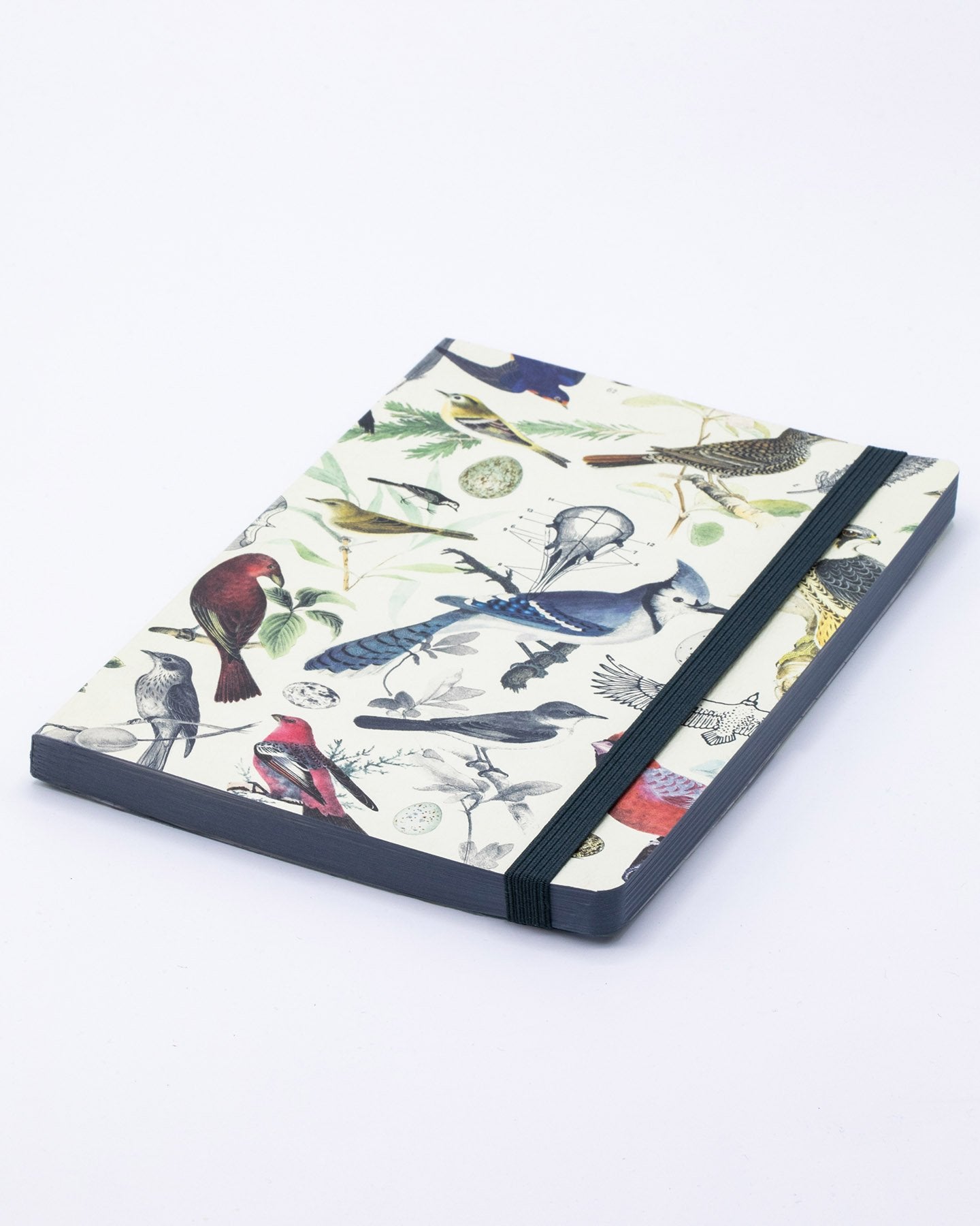 Vögel & Federn A5 Softcover