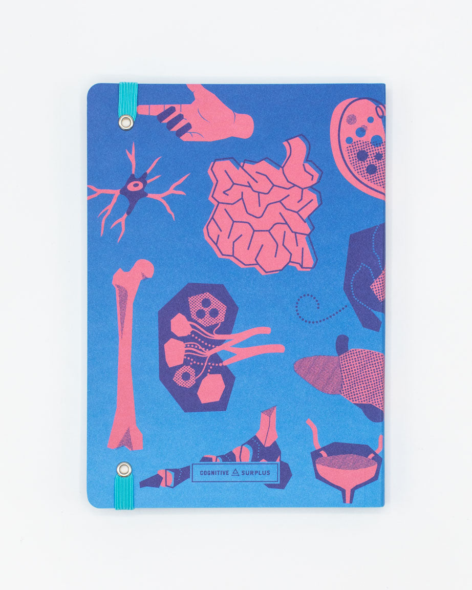 Retro Anatomy Washi Tape – Cognitive Surplus