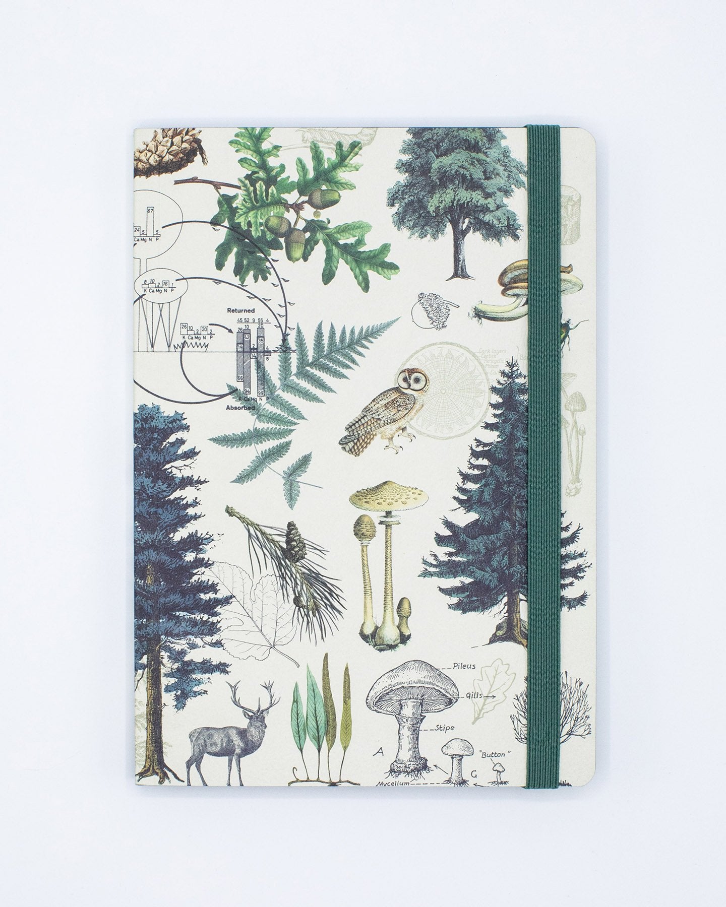 Into the Forest A5 Softcover