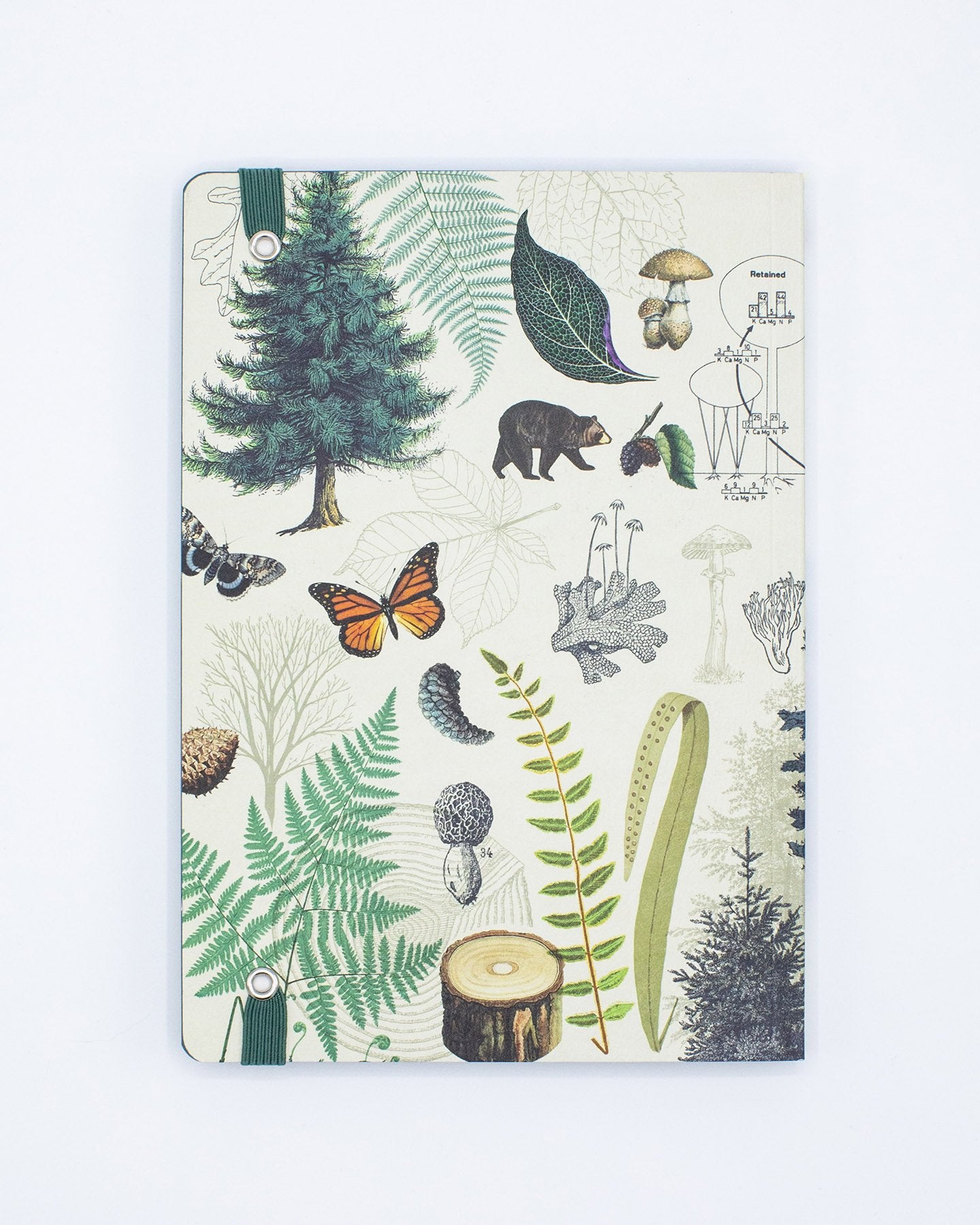 In den Wald A5 Softcover