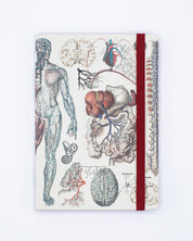 Anatomy & Physiology A5 Softcover