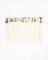 Carnets Anatomie humaine