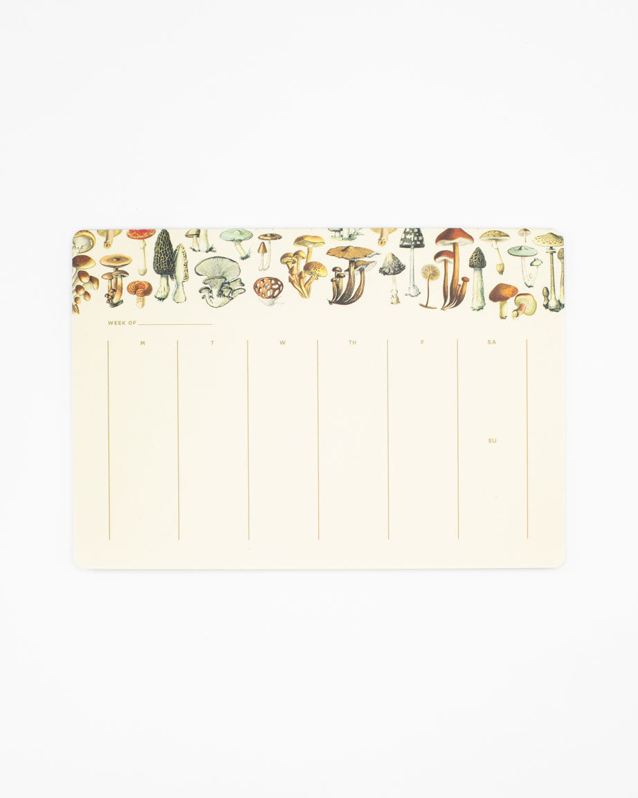 Mushrooms Notepads