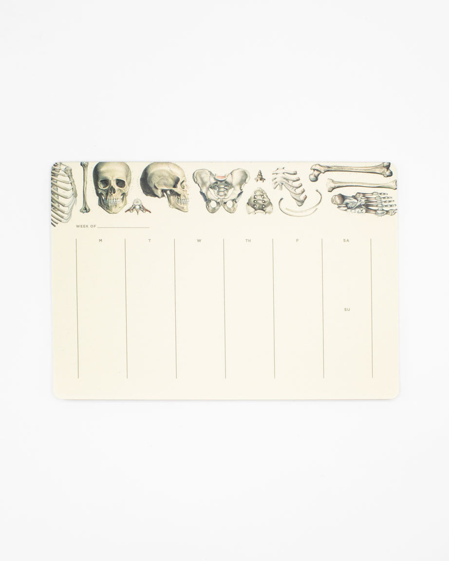 Skeleton Notepads