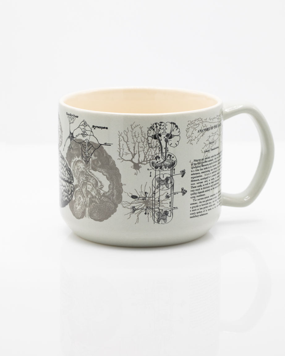 Brain Anatomy 450 mL Ceramic Mug