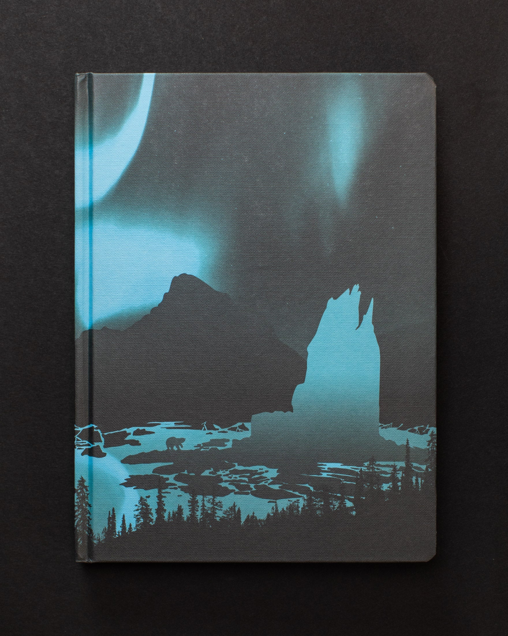 Arctic Ice Dark Matter Notebook