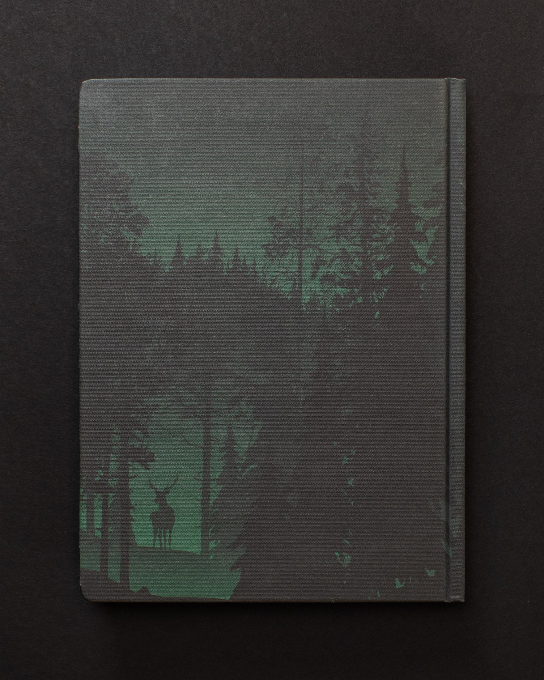 Twilight in the Evergreen Forest Dark Matter Notebook