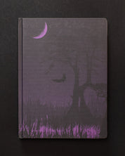 Midnight Swampland Dark Matter Notebook