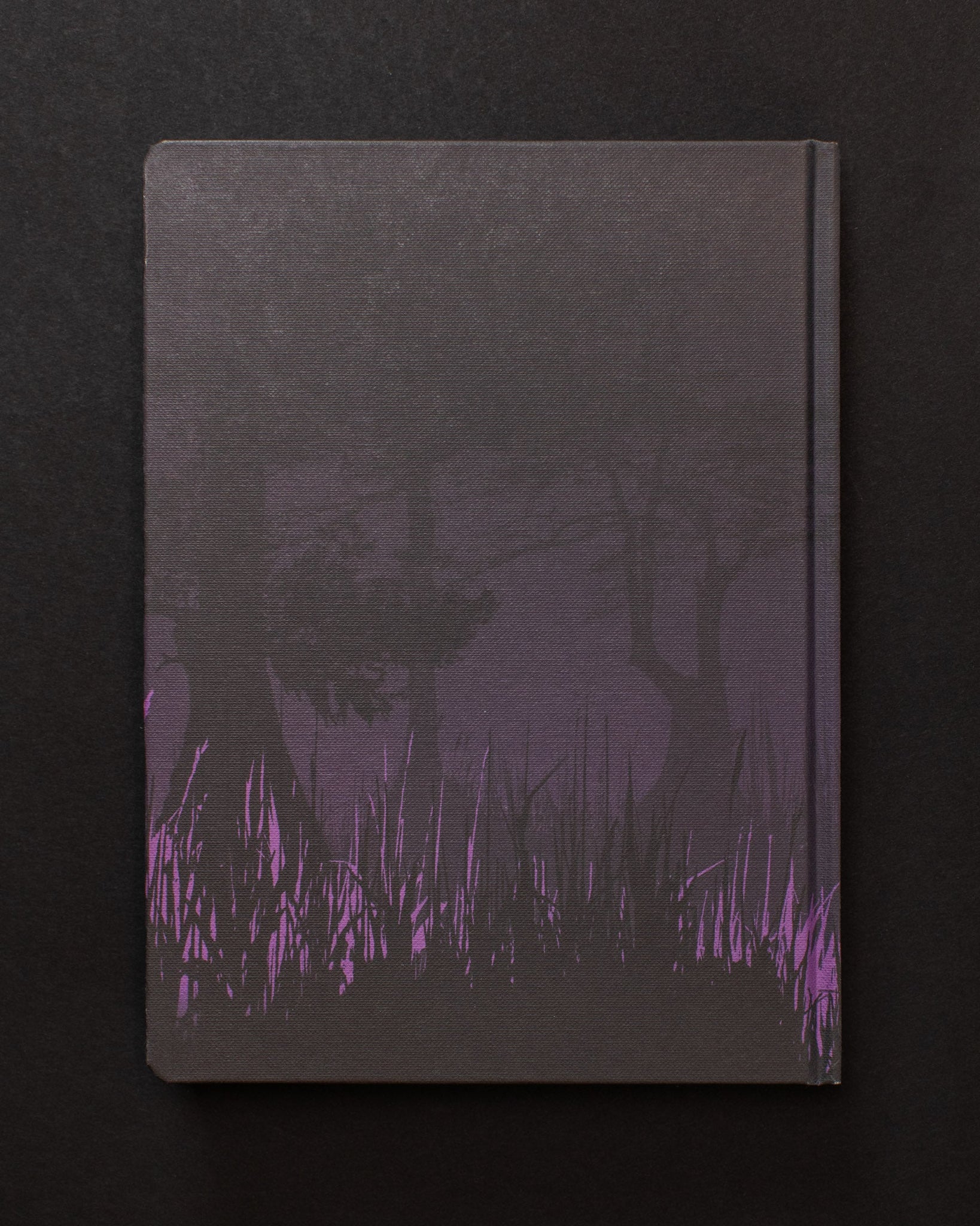 Midnight Swampland Dark Matter Notebook