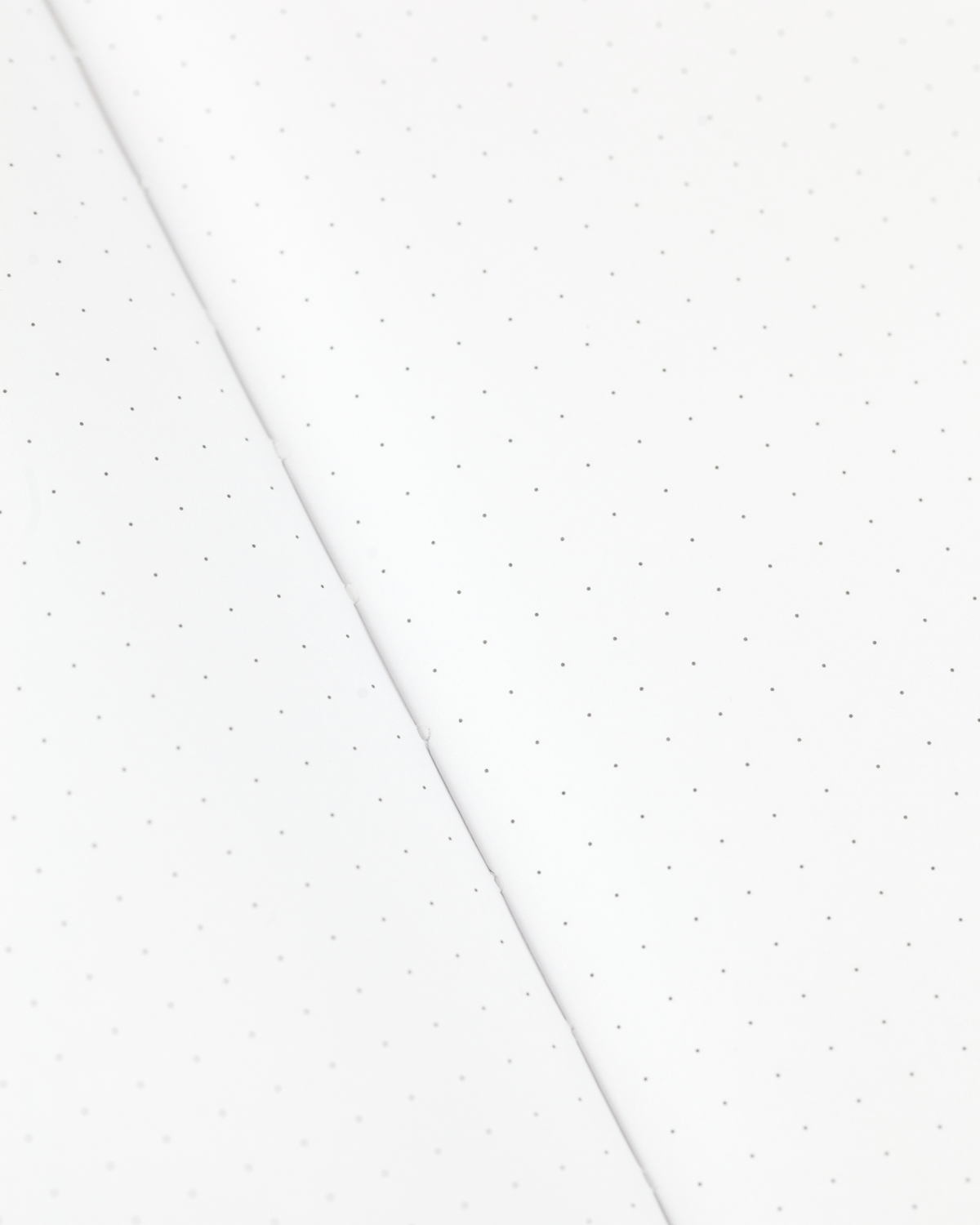 Skeleton & Bones Softcover Notebook - Dot Grid