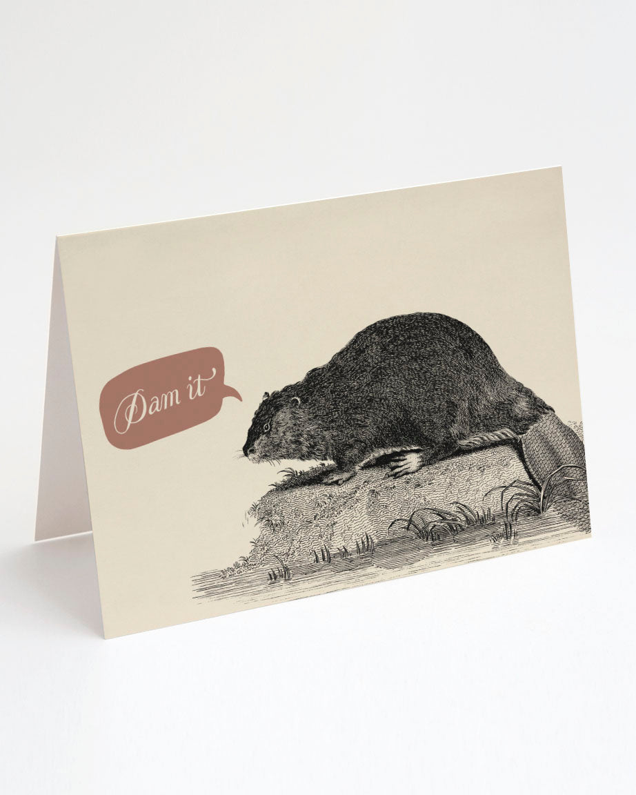 Beaver Dam Card