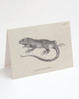 Carte de vœux "Iguane"