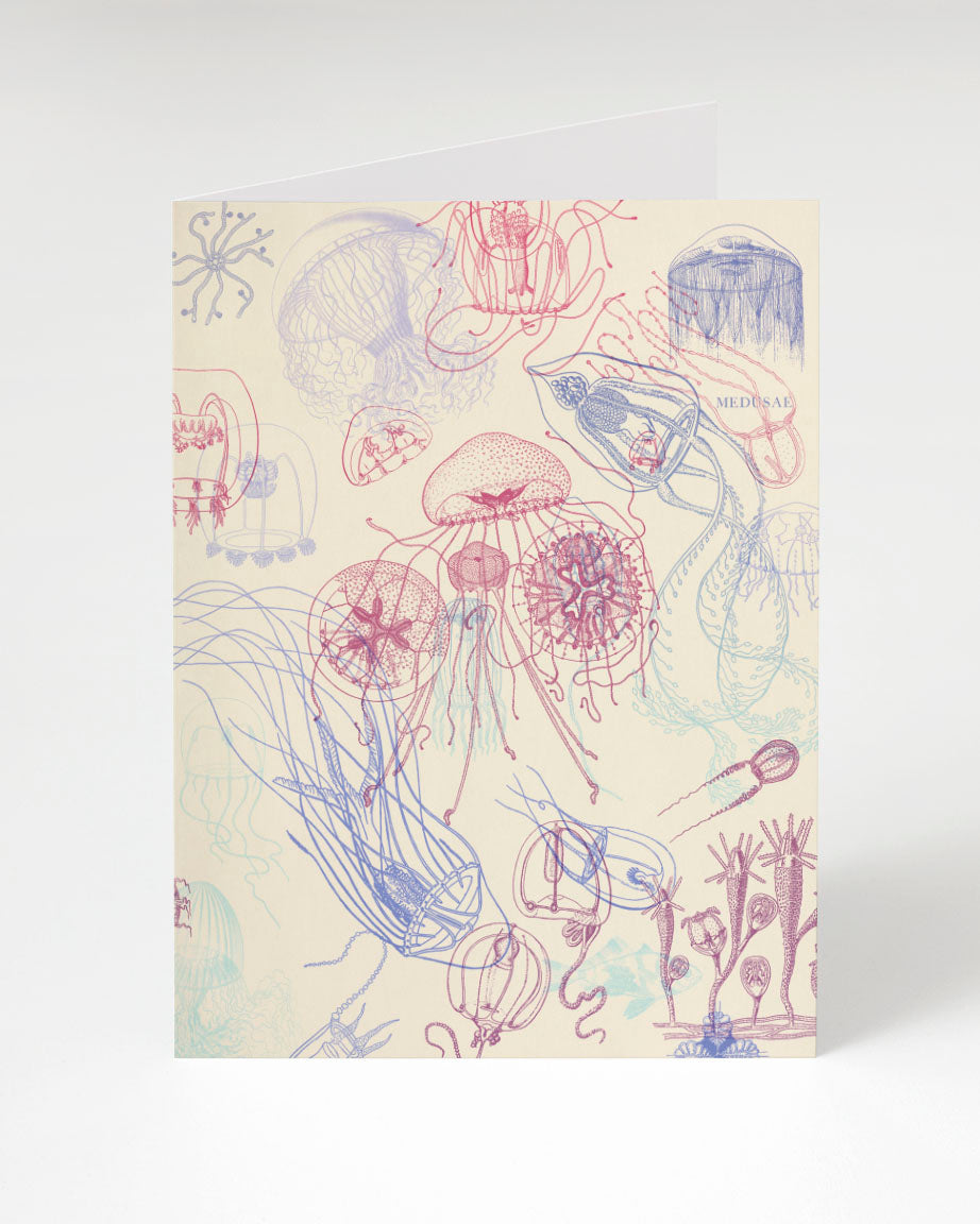 Jellyfish Greeting Card