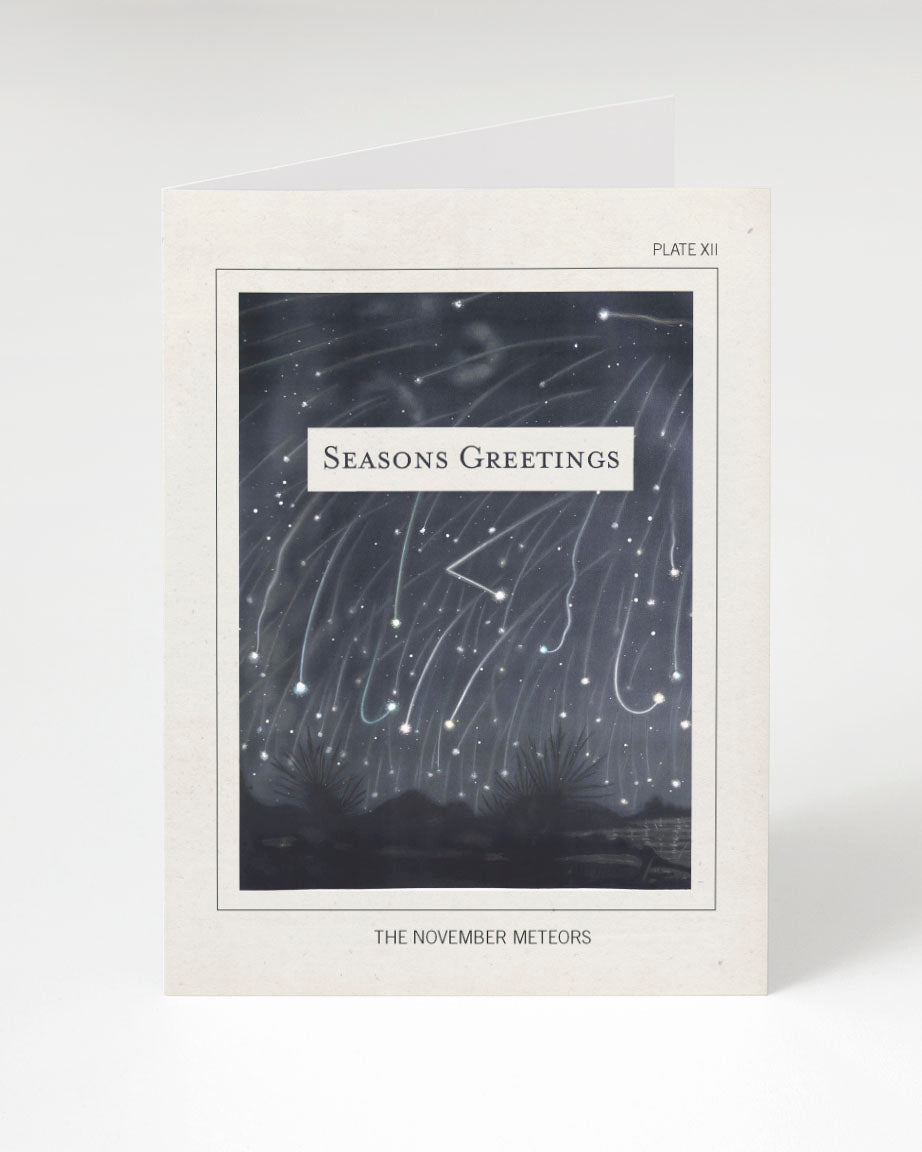 Astronomical Plate: November Meteors Seasons Greetings Card