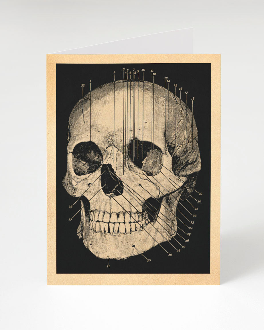 Human Skull Card