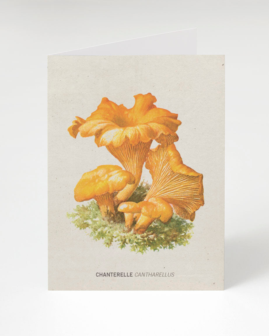 Chanterelle Mushroom Card