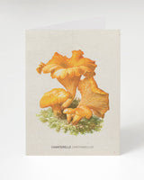 Cartolina con fungo finferlo