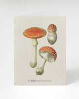 Carte champignon toxique Amanite tue-mouches