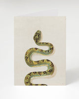 Cartolina con serpente verde