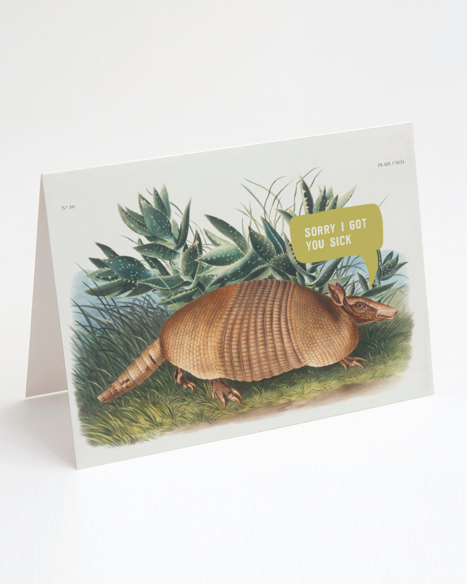 Sorry Armadillo Card