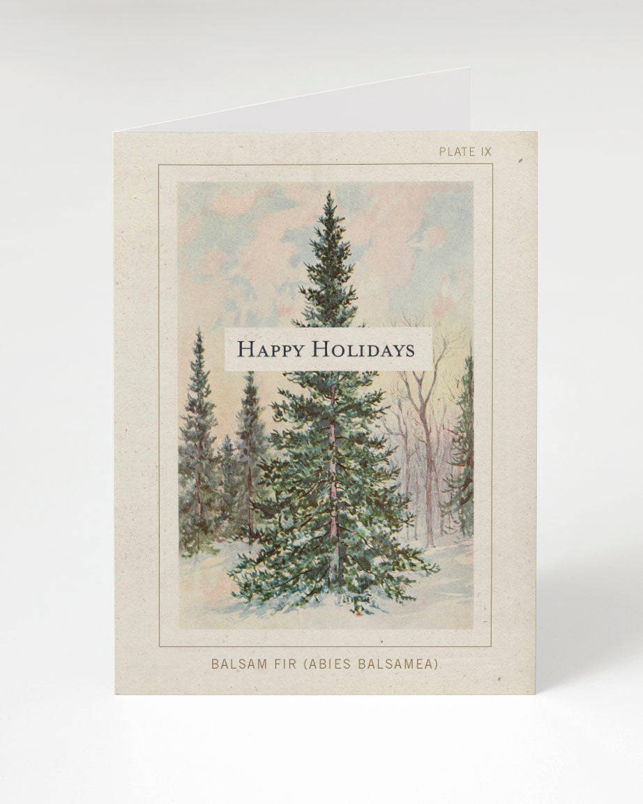 Botanical Plate: Balsam Fir Happy Holidays Card