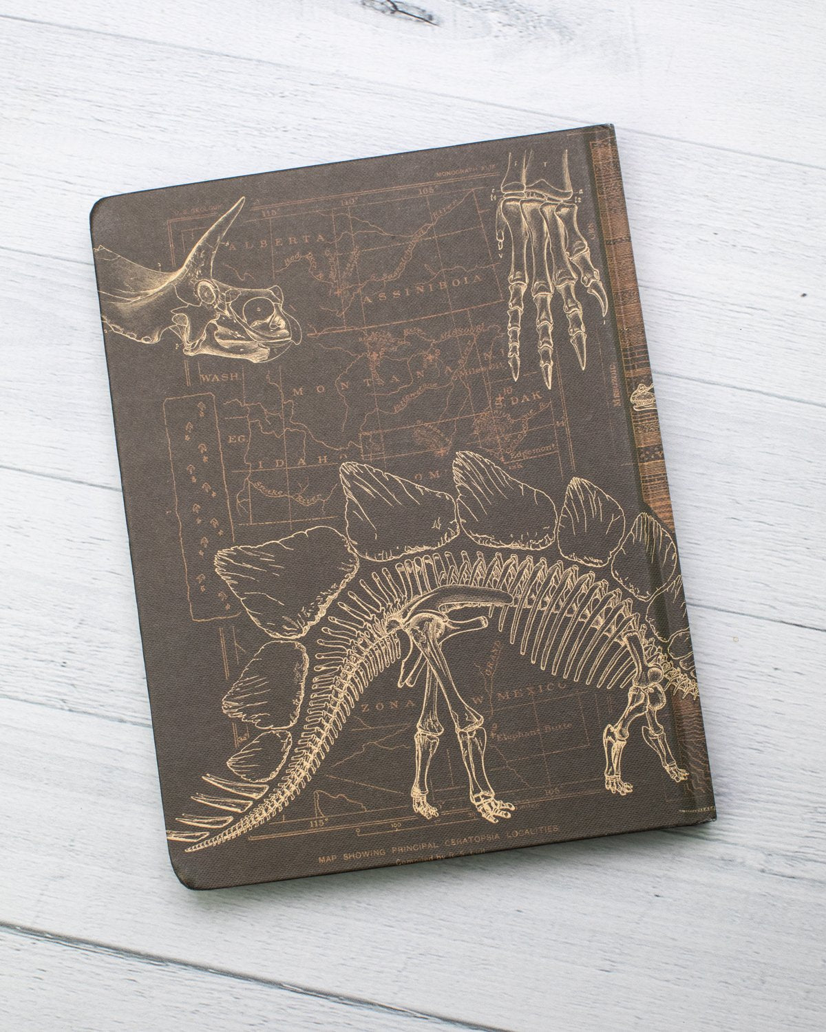 Dinosaur Bones: Paleontology Hardcover - Dot Grid - Cognitive Surplus