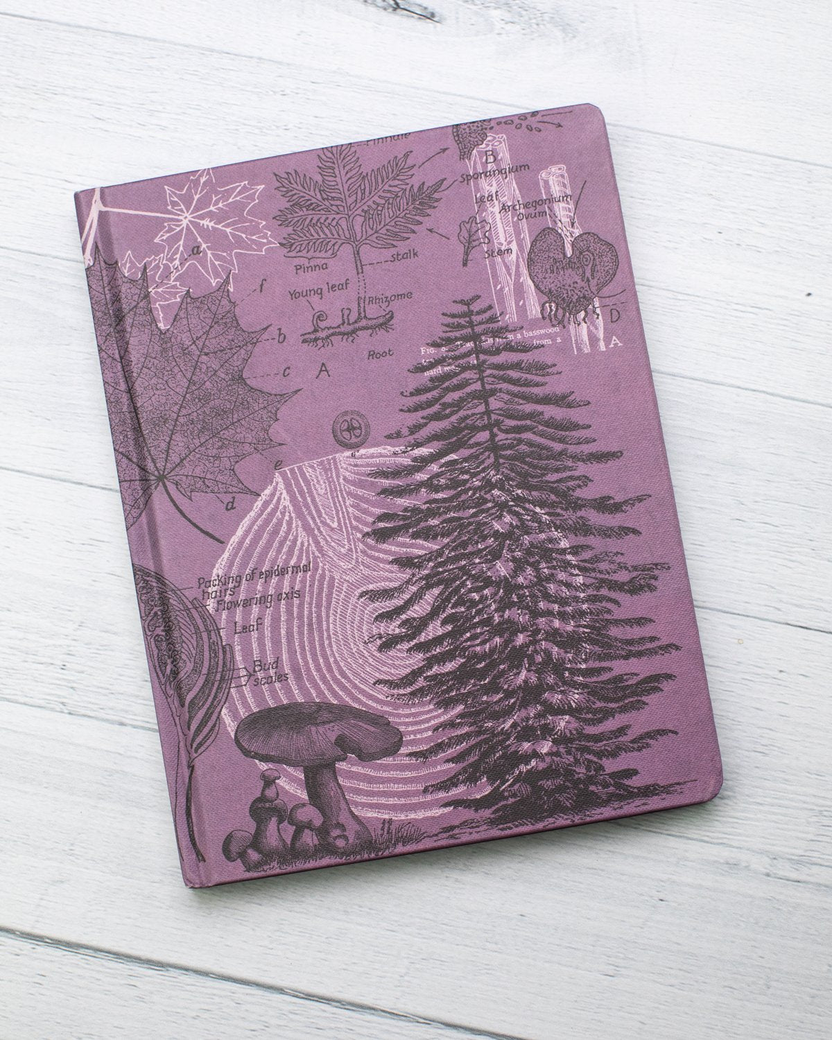 Forest at Dusk Hardcover Notebook - Dot Grid