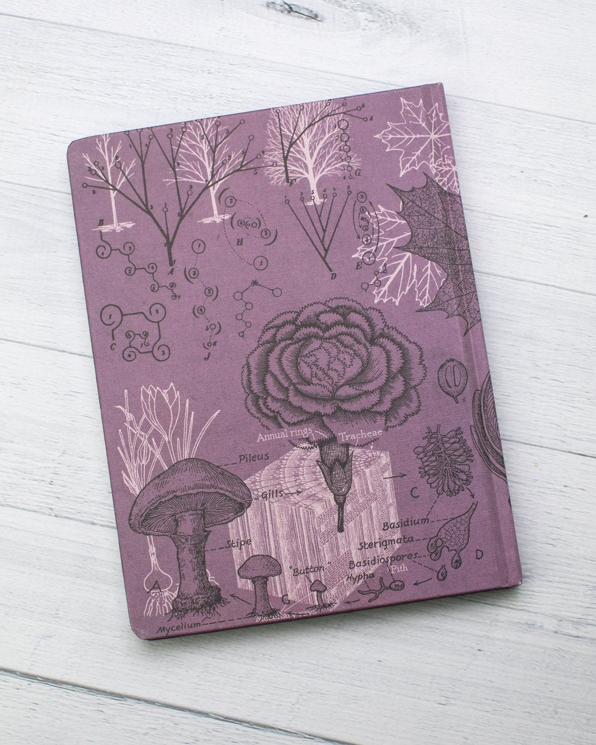 Forest at Dusk Hardcover Notebook - Lined/Grid