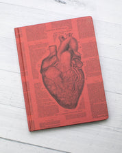 Anatomical Heart Hardcover - Lined/Grid - Cognitive Surplus