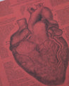 Anatomical Heart Hardcover - Lined/Grid - Cognitive Surplus