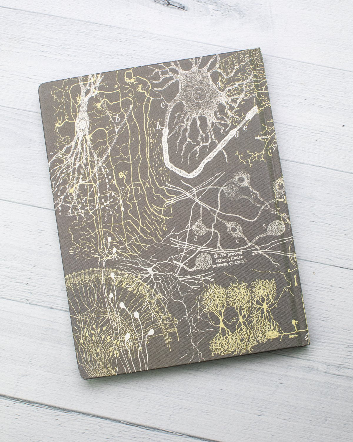 Neurons Hardcover Notebook - Lined/Grid