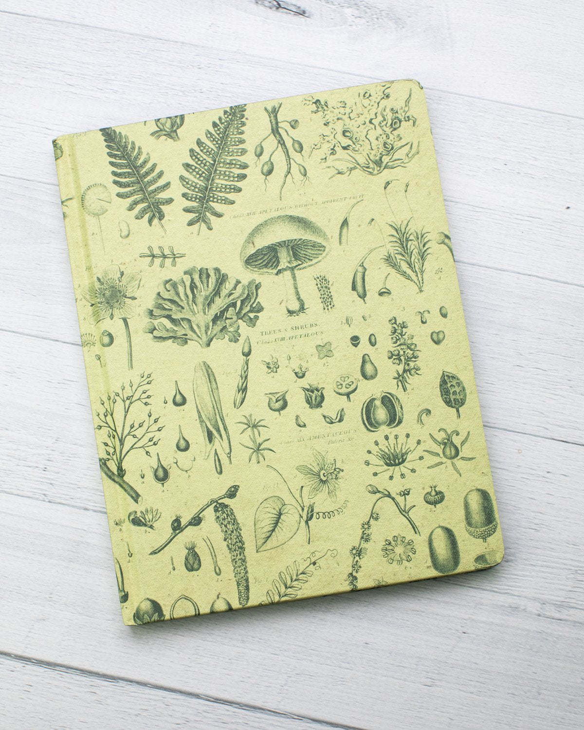 Plants & Fungi Hardcover - Gefüttert/Gitter