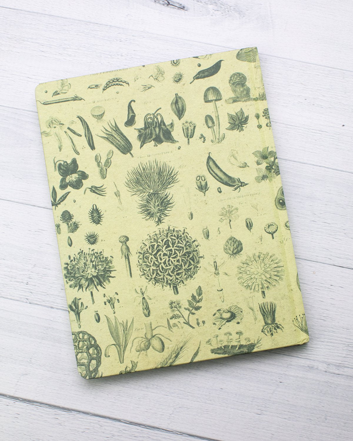 Plants & Fungi Hardcover Notebook - Lined/Grid