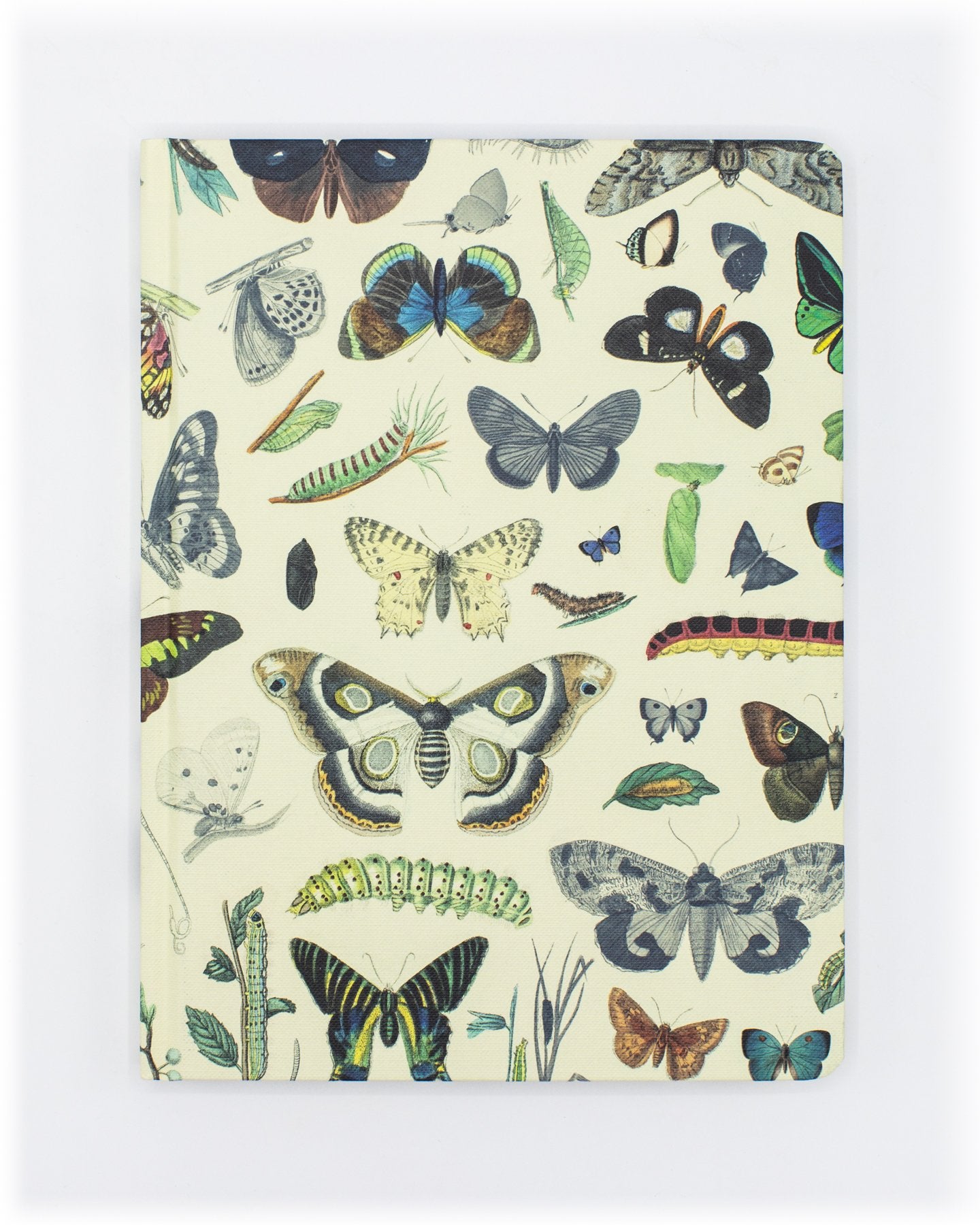 Butterflies Hardcover Notebook - Lined/Grid