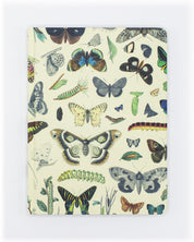 Butterflies Hardcover Notebook - Lined/Grid