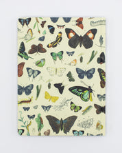 Butterflies Hardcover Notebook - Lined/Grid