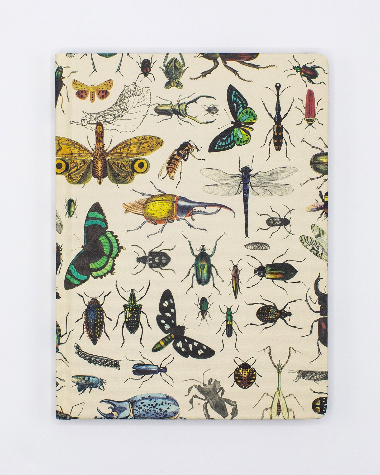 Insect Hardcover Notebook - Lined/Grid