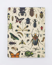 Insect Hardcover Notebook - Lined/Grid