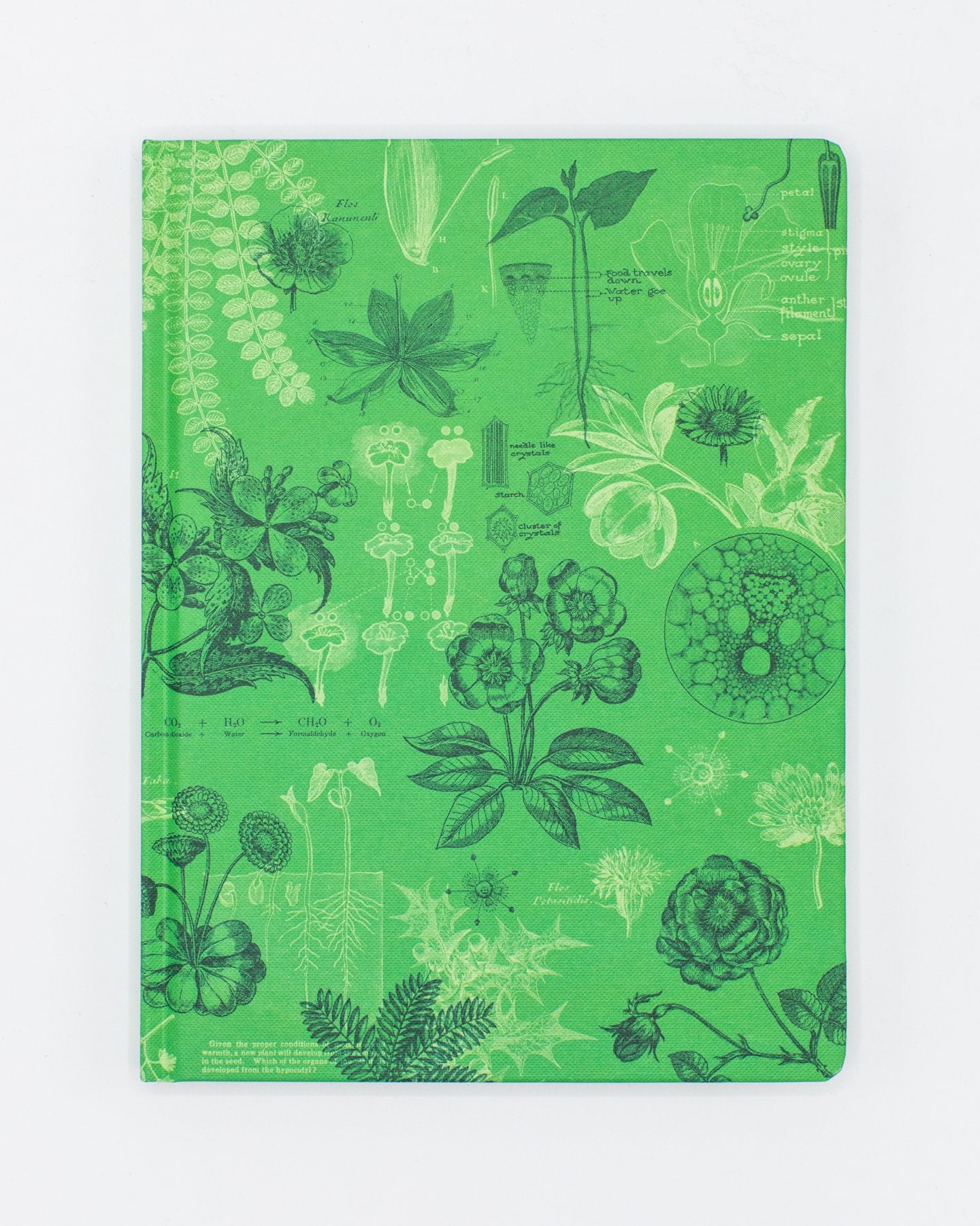 Botany Hardcover Notebook - Dot Grid