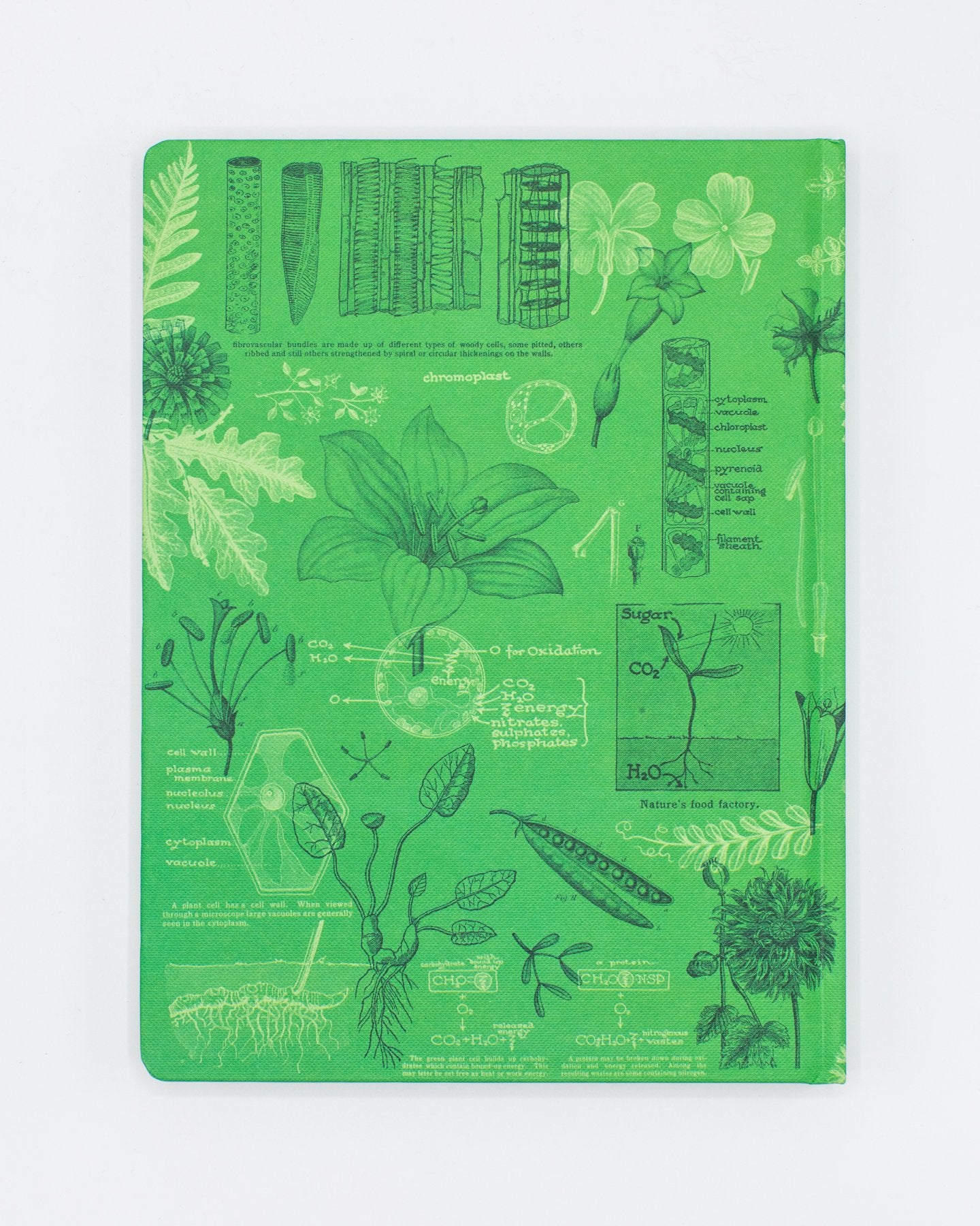Botany Hardcover Notebook - Dot Grid