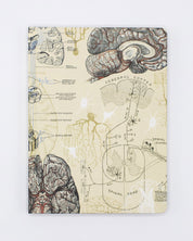Brain & Neuroscience Hardcover Notebook - Lined/Grid