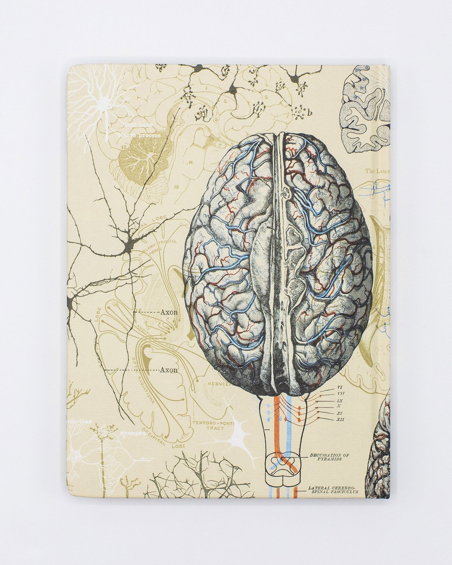 Brain & Neuroscience Hardcover - Gefüttert/Raster