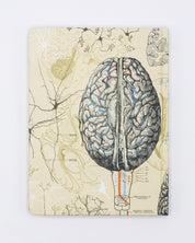 Brain & Neuroscience Hardcover Notebook - Lined/Grid