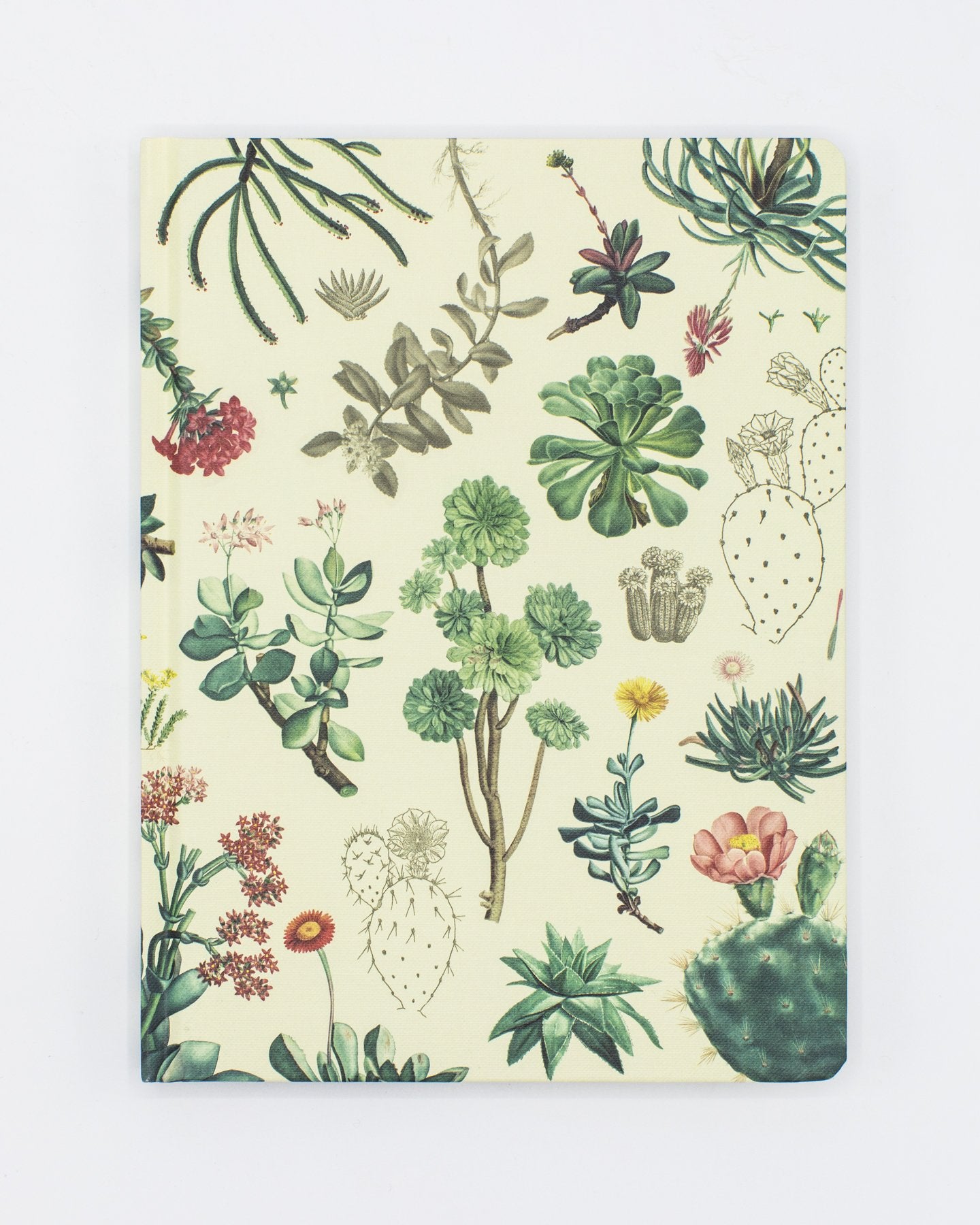 Succulents Hardcover Notebook - Dot Grid