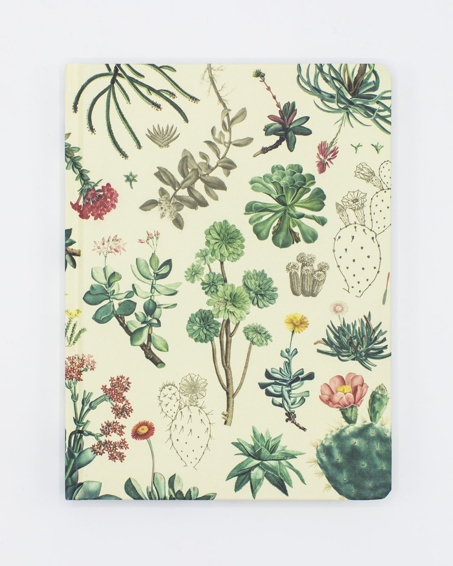 Succulents Hardcover - Blank