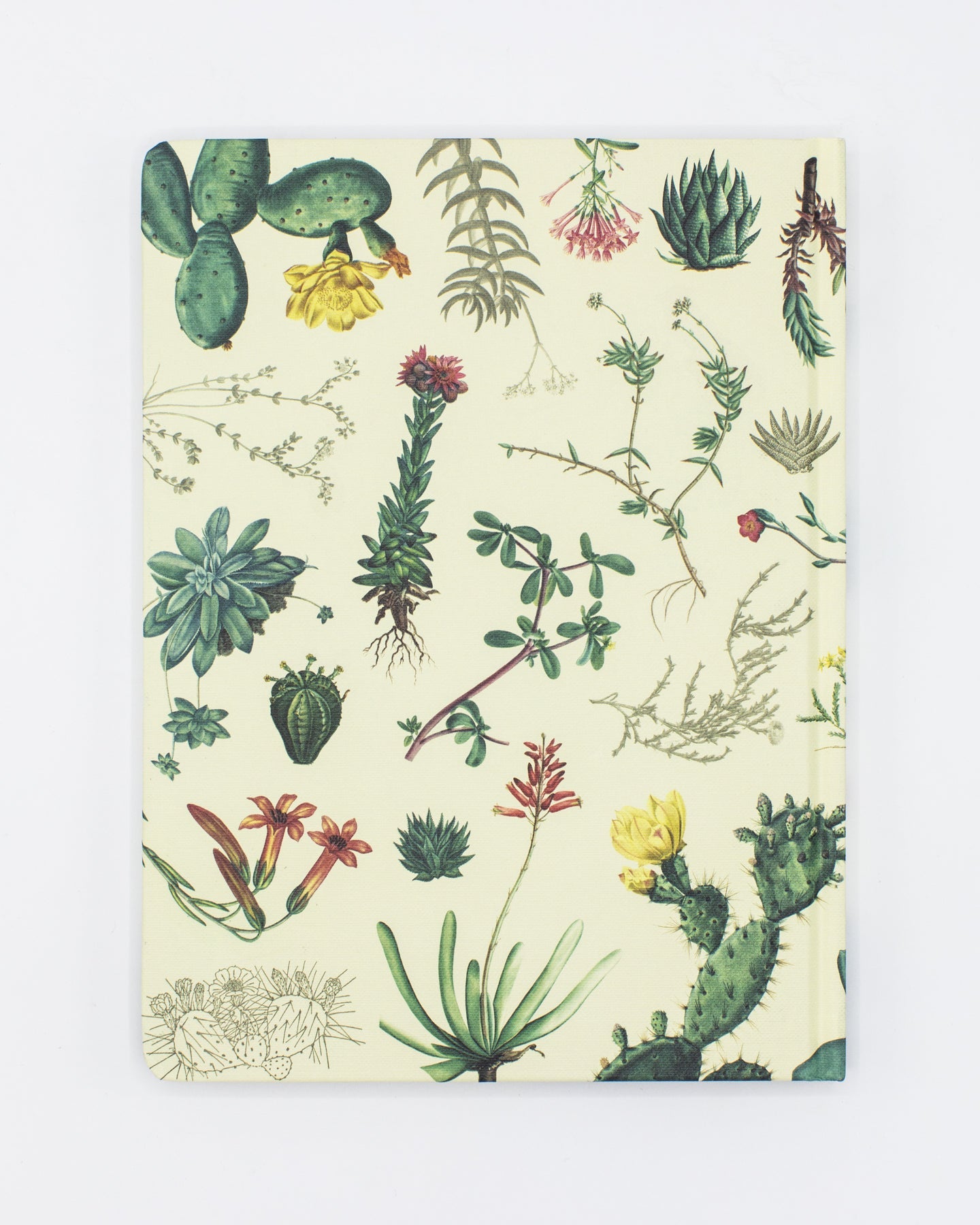 Succulents Hardcover - Blank