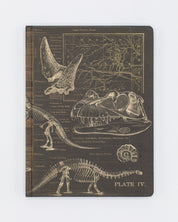 Dinosaur Bones: Paleontology Hardcover Notebook - Dot Grid