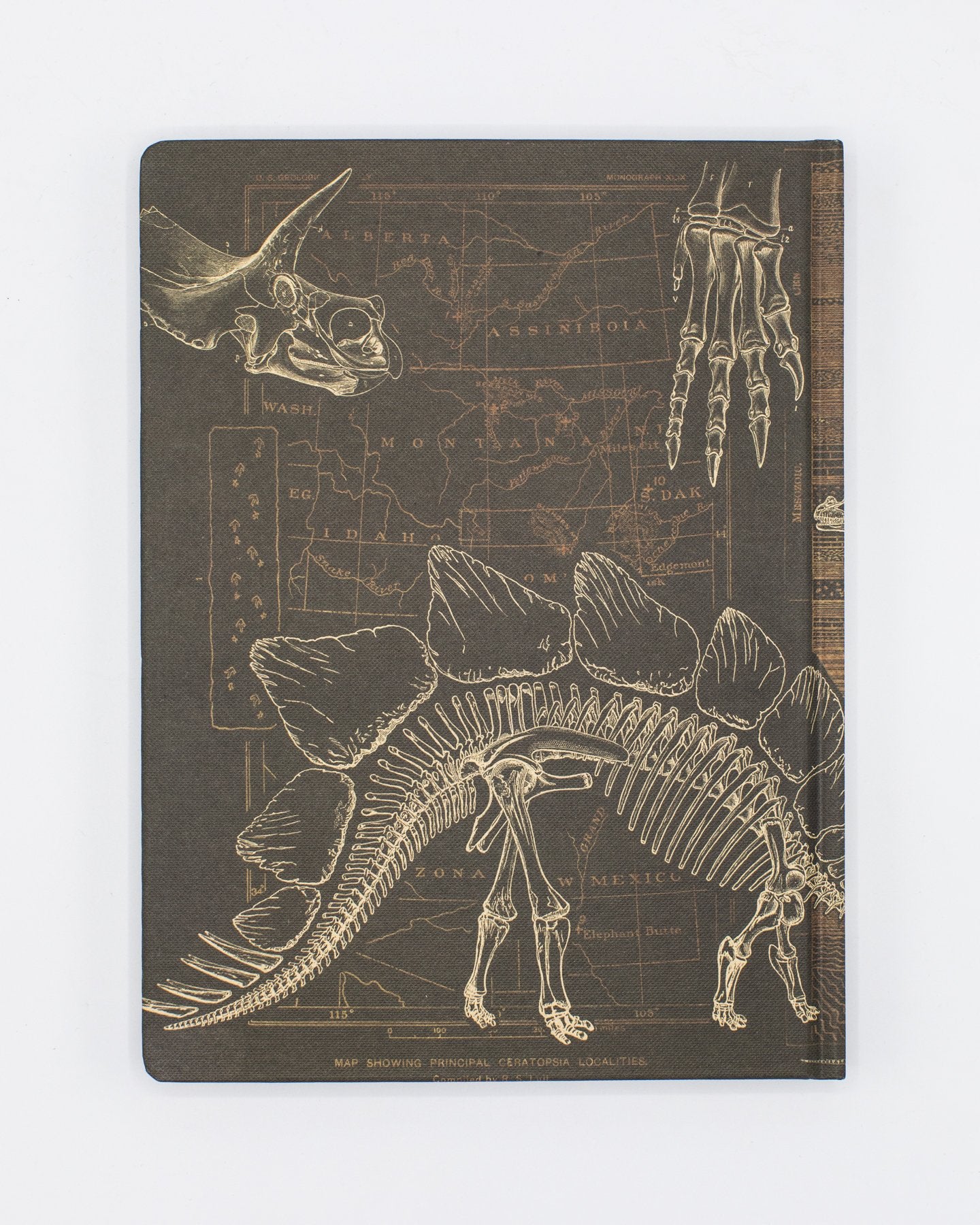 Dinosaur Bones: Paleontology Hardcover Notebook - Dot Grid